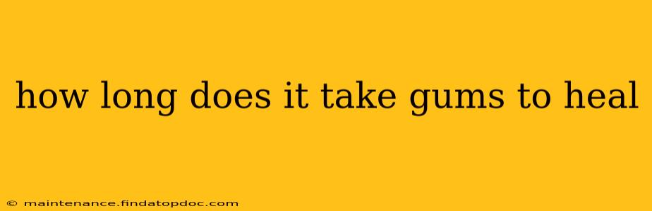 how long does it take gums to heal
