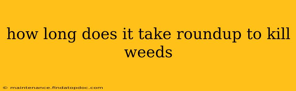 how long does it take roundup to kill weeds