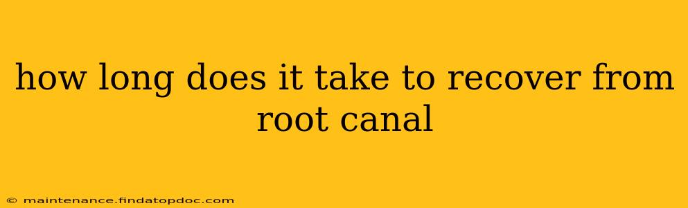 how long does it take to recover from root canal