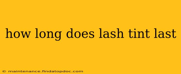 how long does lash tint last