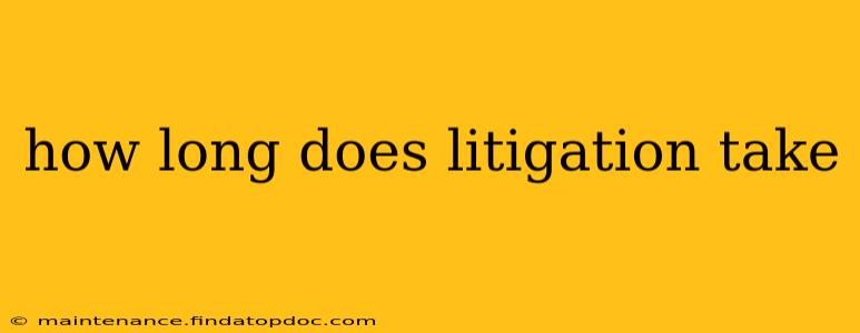 how long does litigation take