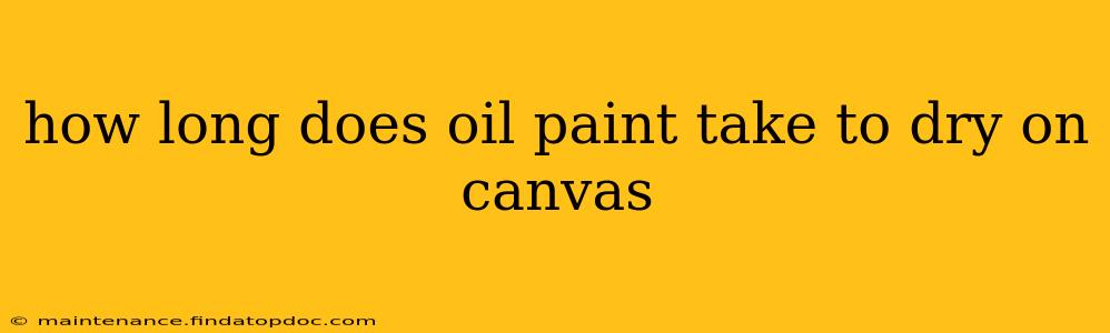 how long does oil paint take to dry on canvas
