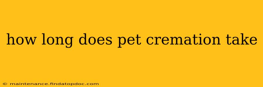 how long does pet cremation take