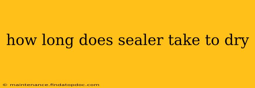 how long does sealer take to dry