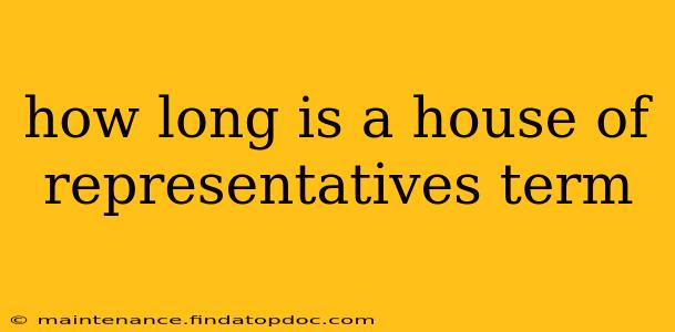 how long is a house of representatives term