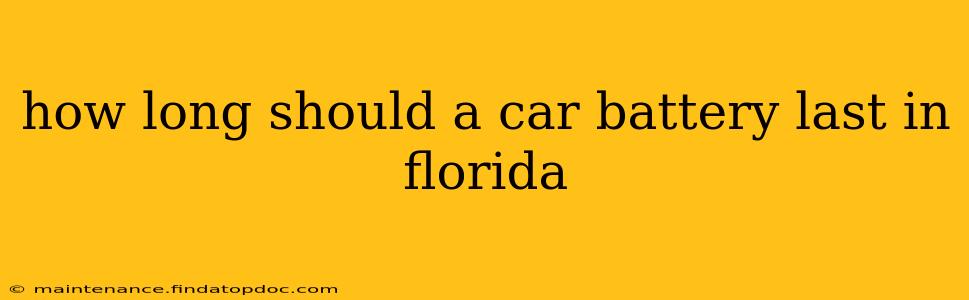 how long should a car battery last in florida