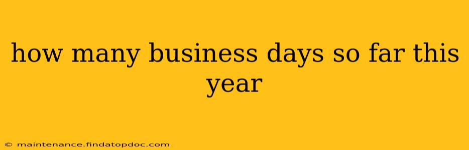 how many business days so far this year