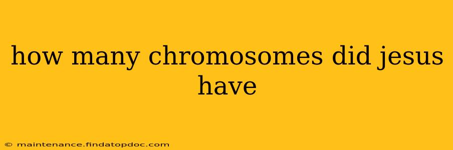 how many chromosomes did jesus have