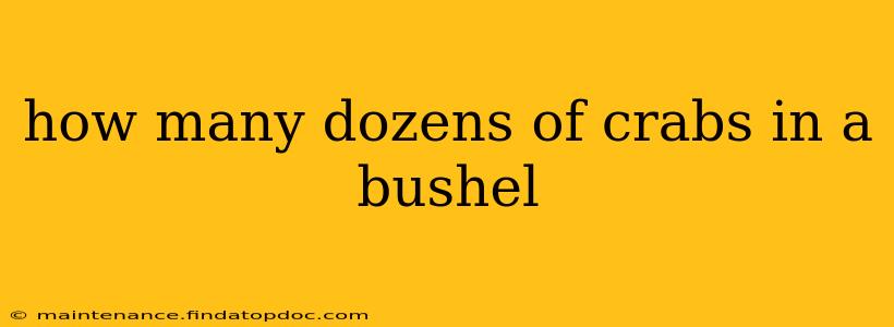how many dozens of crabs in a bushel