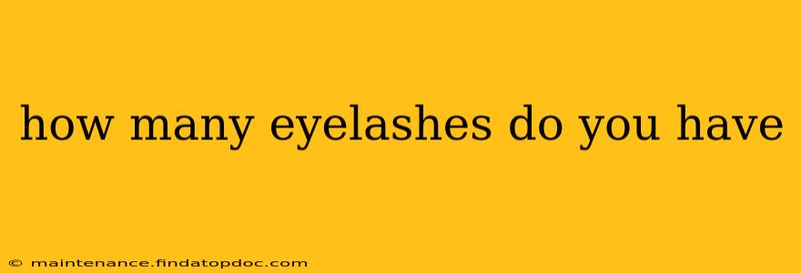how many eyelashes do you have