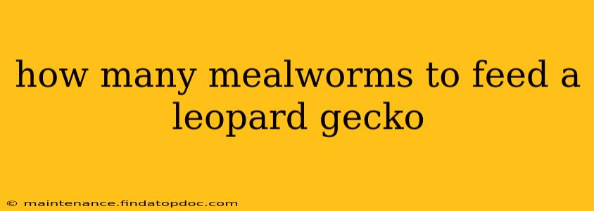 how many mealworms to feed a leopard gecko