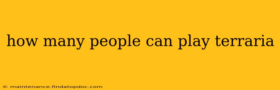 how many people can play terraria