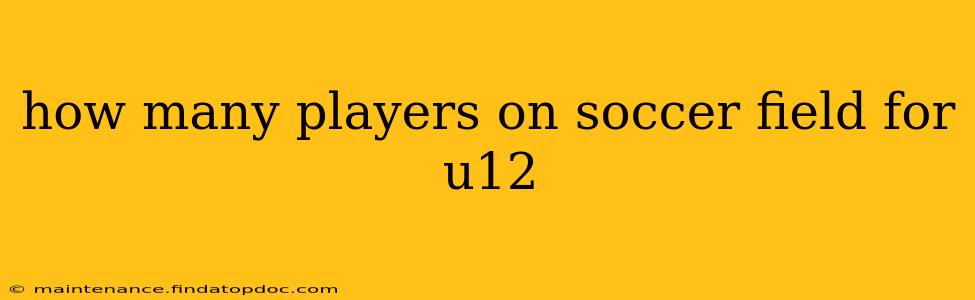 how many players on soccer field for u12