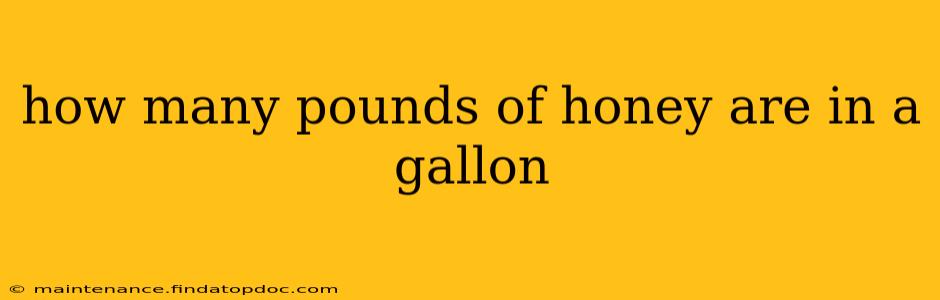 how many pounds of honey are in a gallon
