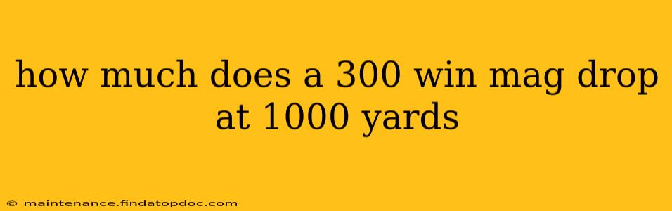 how much does a 300 win mag drop at 1000 yards
