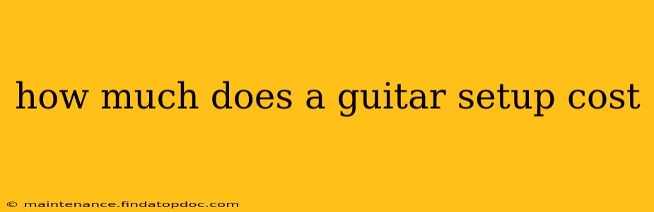how much does a guitar setup cost