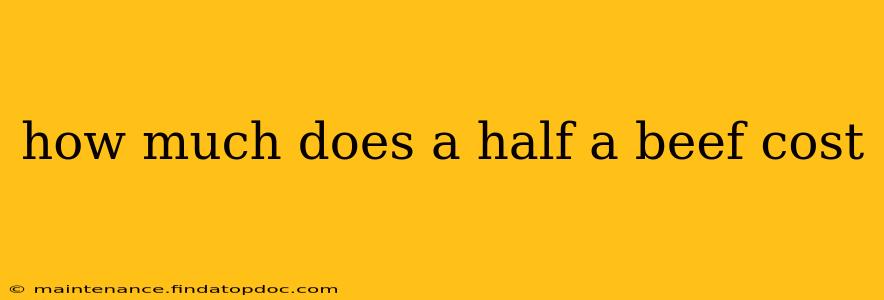 how much does a half a beef cost