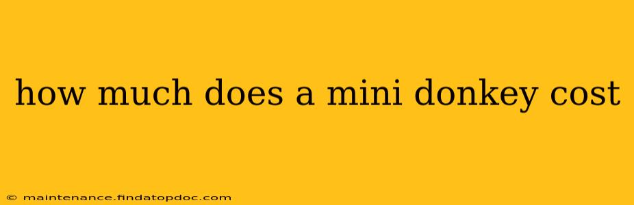 how much does a mini donkey cost