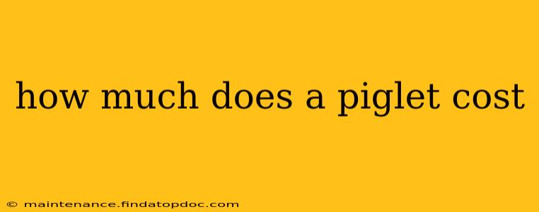 how much does a piglet cost