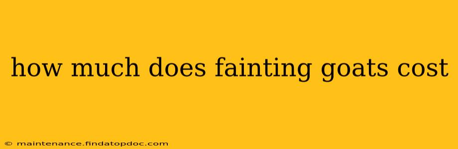 how much does fainting goats cost