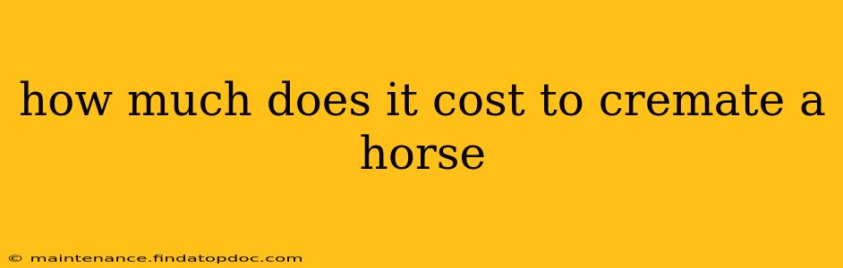 how much does it cost to cremate a horse