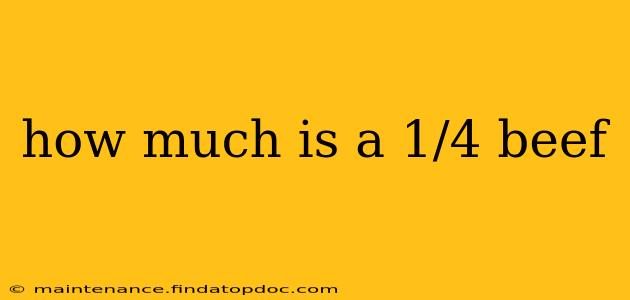 how much is a 1/4 beef