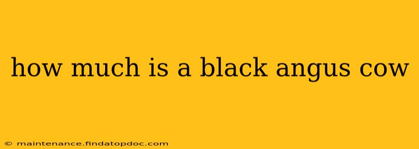 how much is a black angus cow