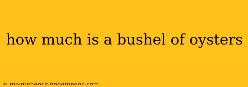 how much is a bushel of oysters