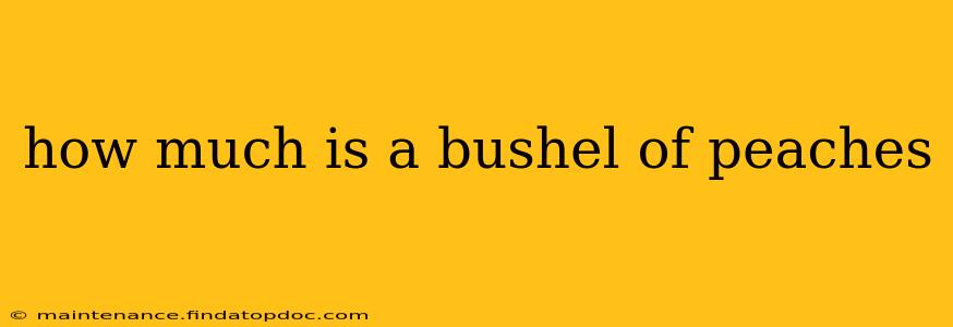 how much is a bushel of peaches