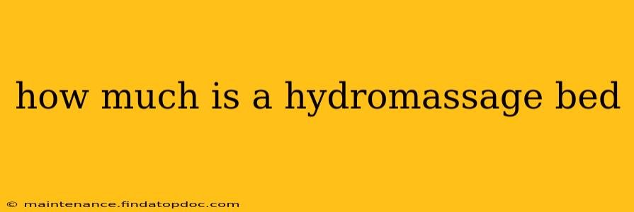 how much is a hydromassage bed