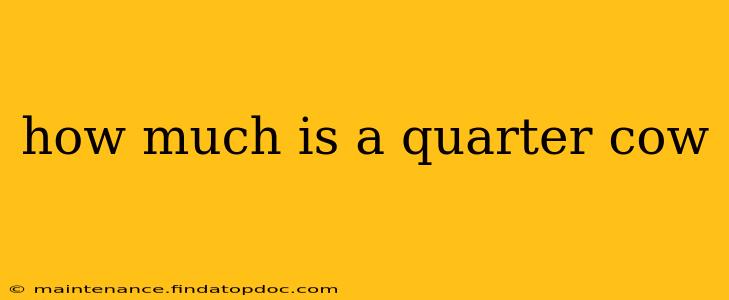 how much is a quarter cow