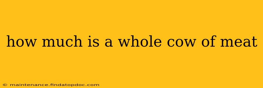 how much is a whole cow of meat