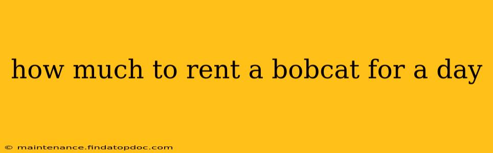 how much to rent a bobcat for a day