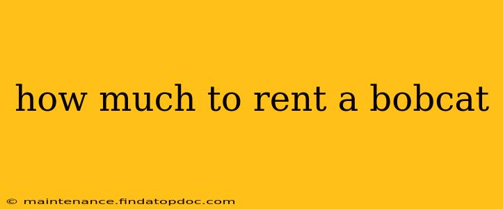 how much to rent a bobcat