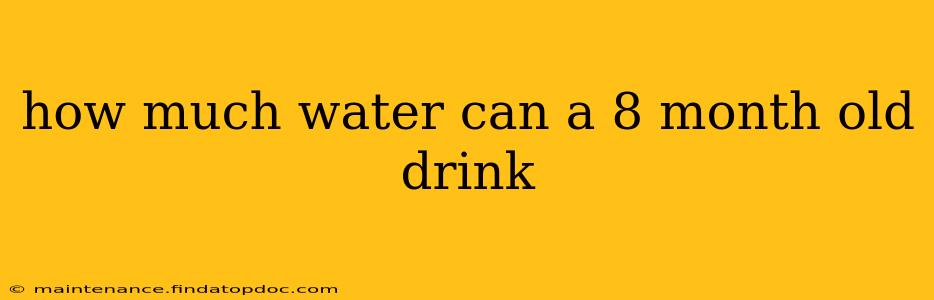 how much water can a 8 month old drink