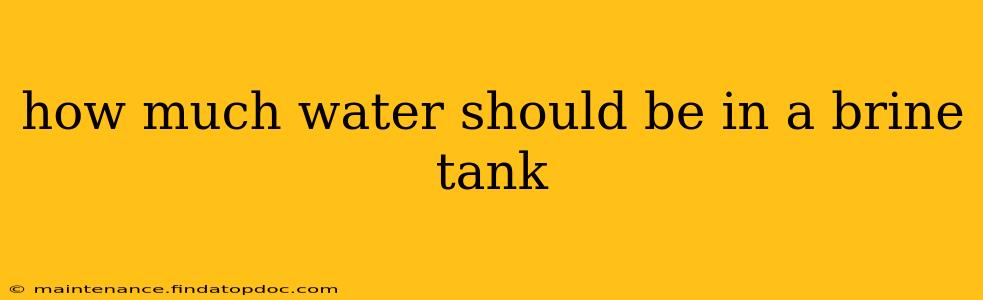 how much water should be in a brine tank