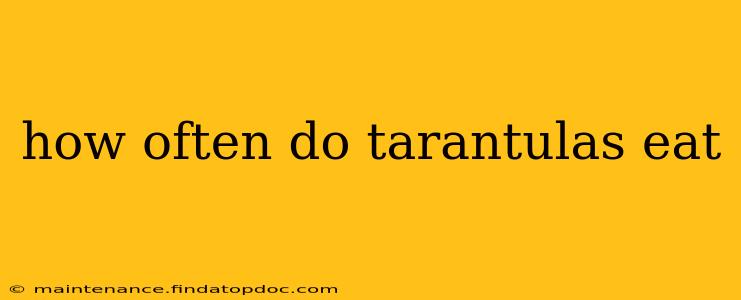 how often do tarantulas eat