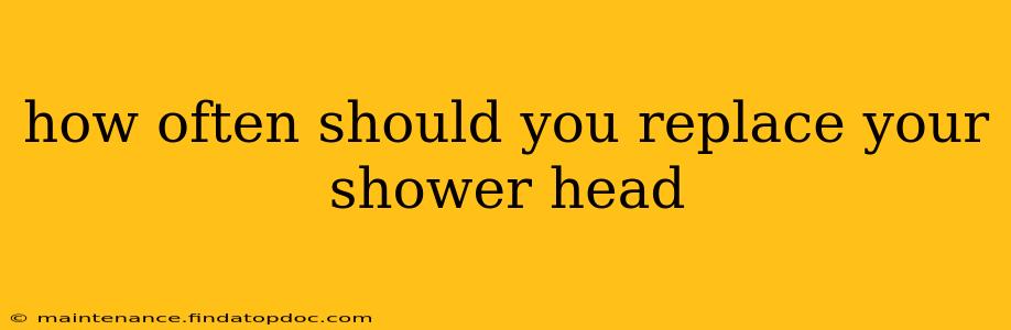 how often should you replace your shower head