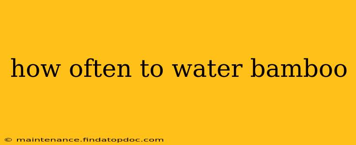 how often to water bamboo