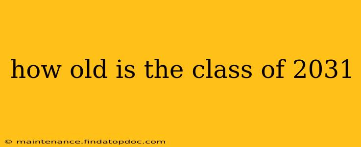 how old is the class of 2031