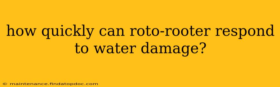 how quickly can roto-rooter respond to water damage?