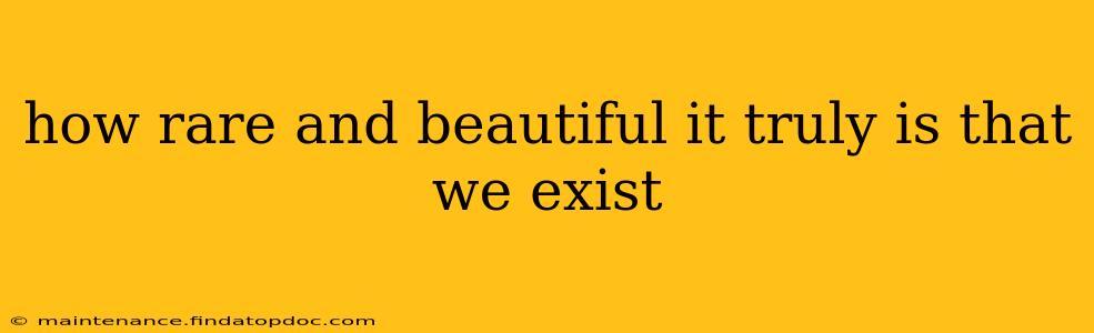 how rare and beautiful it truly is that we exist