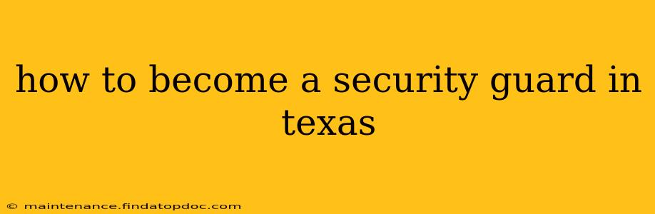 how to become a security guard in texas