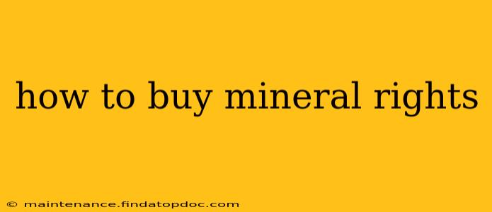 how to buy mineral rights