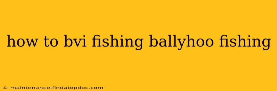 how to bvi fishing ballyhoo fishing
