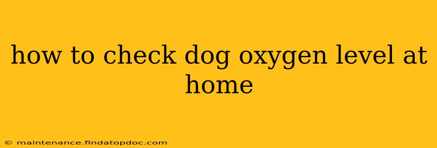 how to check dog oxygen level at home