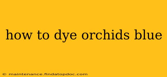 how to dye orchids blue