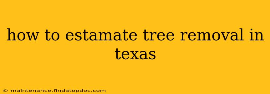 how to estamate tree removal in texas