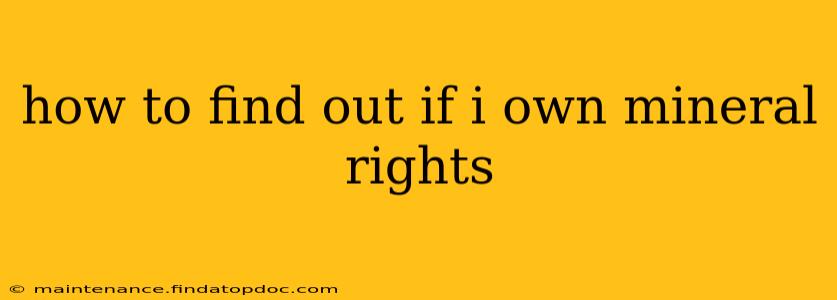 how to find out if i own mineral rights