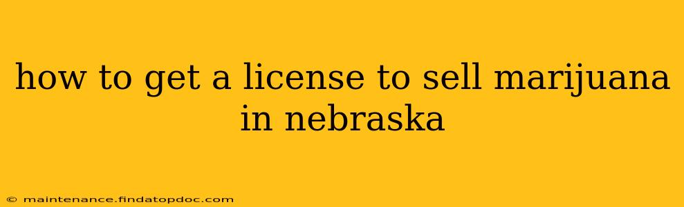 how to get a license to sell marijuana in nebraska